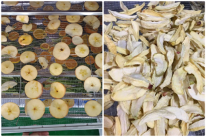 Soluciones de secado de manzanas con secadores con bomba de calor MeiYa