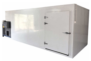 Deshidratador industrial de carne de acero inoxidable: secador de alta capacidad para carne de cerdo, cecina y mariscos.