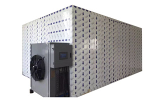 Deshidratador de frutas con bomba de calor industrial: equipo de secado de piña, mango y pescado con tecnología de ahorro de energía.