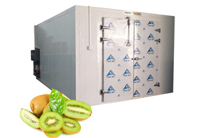 Deshidratador de cáscara de limón de grado industrial | Sistema multiusos para secar frutas, carnes y hierbas