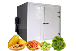 Secadora comercial multifunción con bomba de calor: deshidrata frutas, carne, pescado, hierbas, verduras y manzanas.