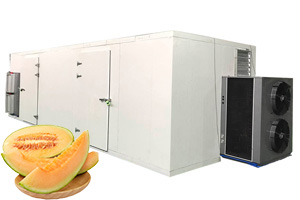 Deshidratador de frutas y verduras de calidad comercial para calabaza, melón, manzana y carne de res. Precio directo de fábrica.