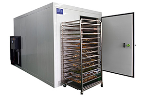 Deshidratador de frutas y verduras de grado comercial 2025: Máquina de secado industrial con tecnología de ahorro de energía
