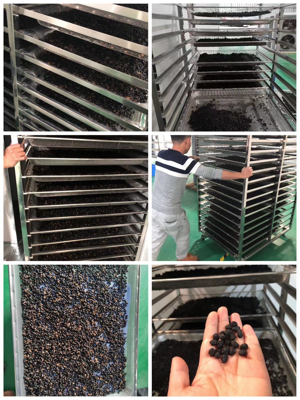 Solusi Pengeringan Drum Kacang (Douchi) dengan Pengering Pompa Panas Sumber Udara MeiYa