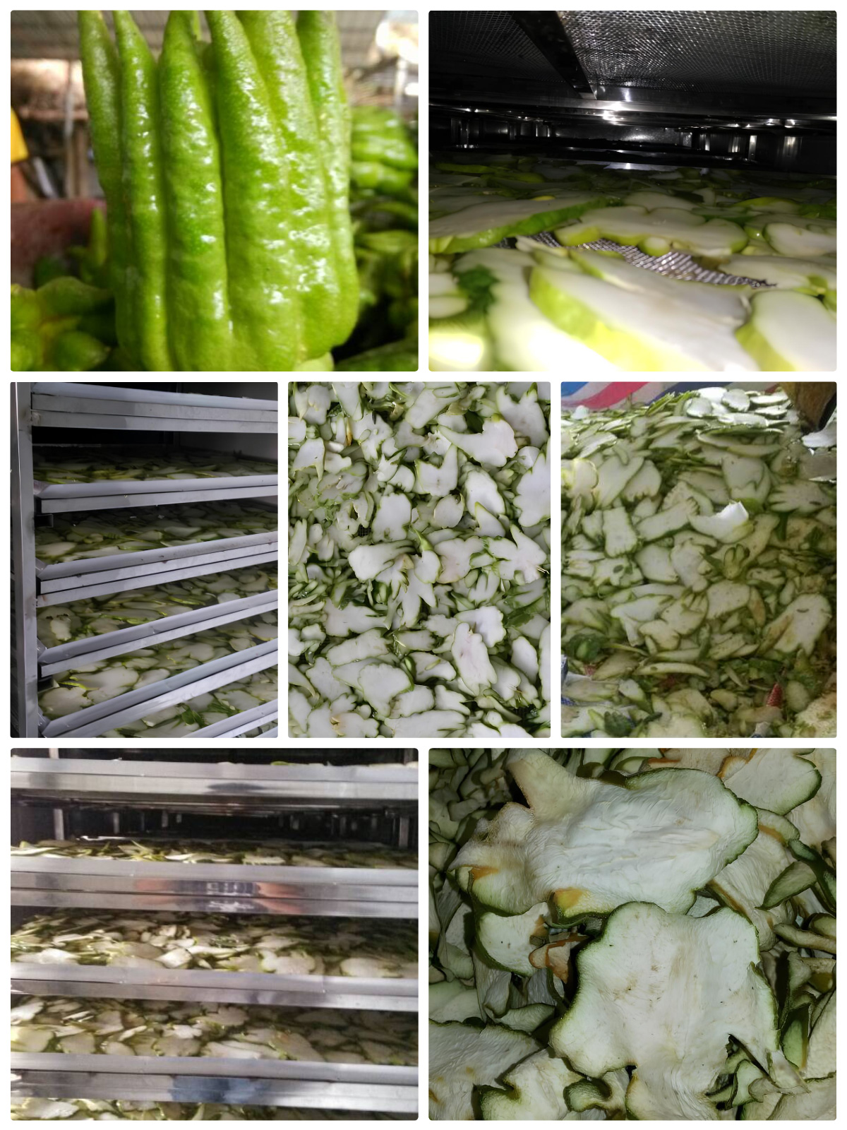 Pengering Pompa Panas MeiYa: Solusi Pengeringan yang Dioptimalkan untuk Buddha's Hand