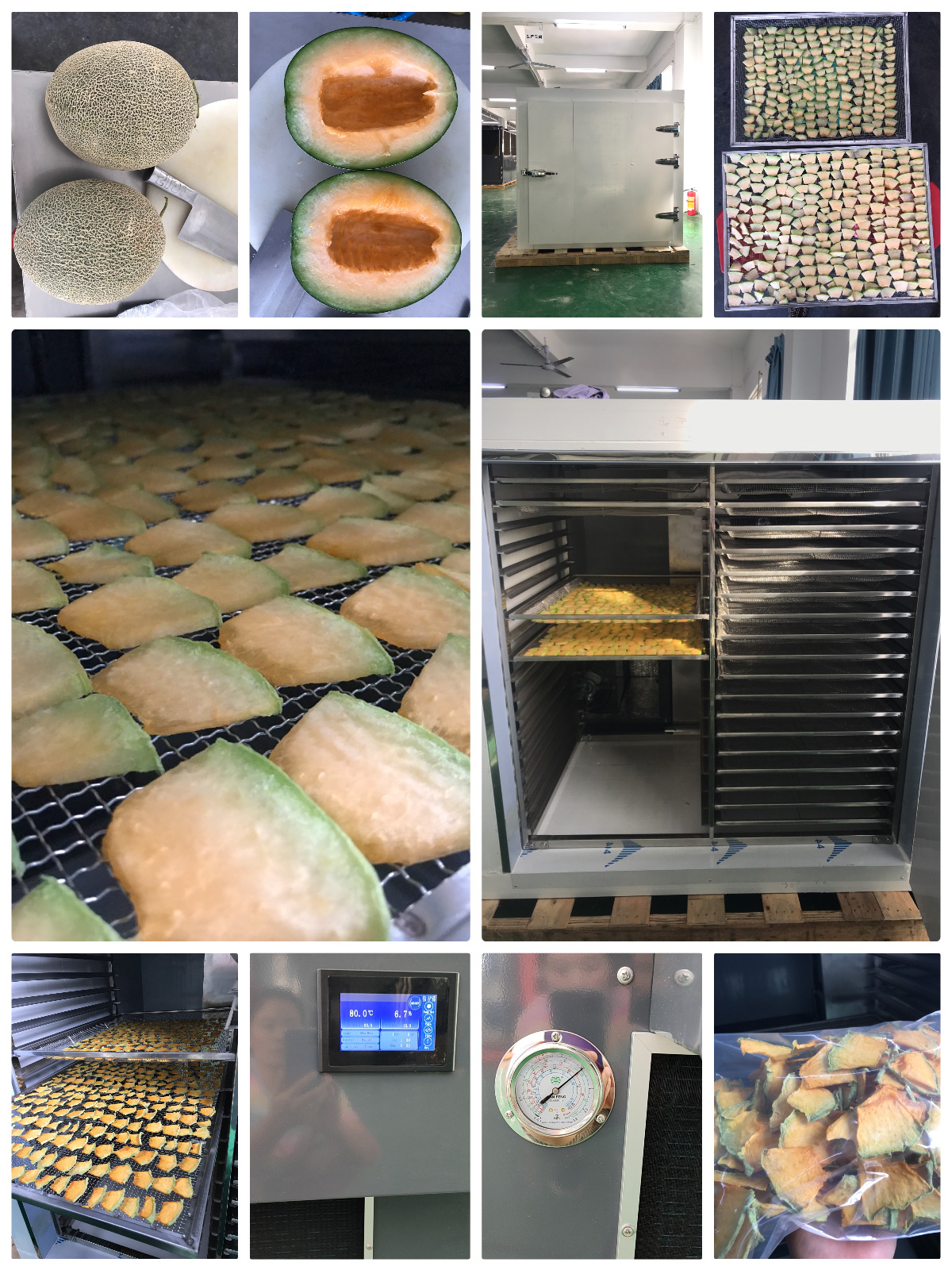 Pengering Pompa Panas MeiYa: Solusi Pengeringan Canggih untuk Melon