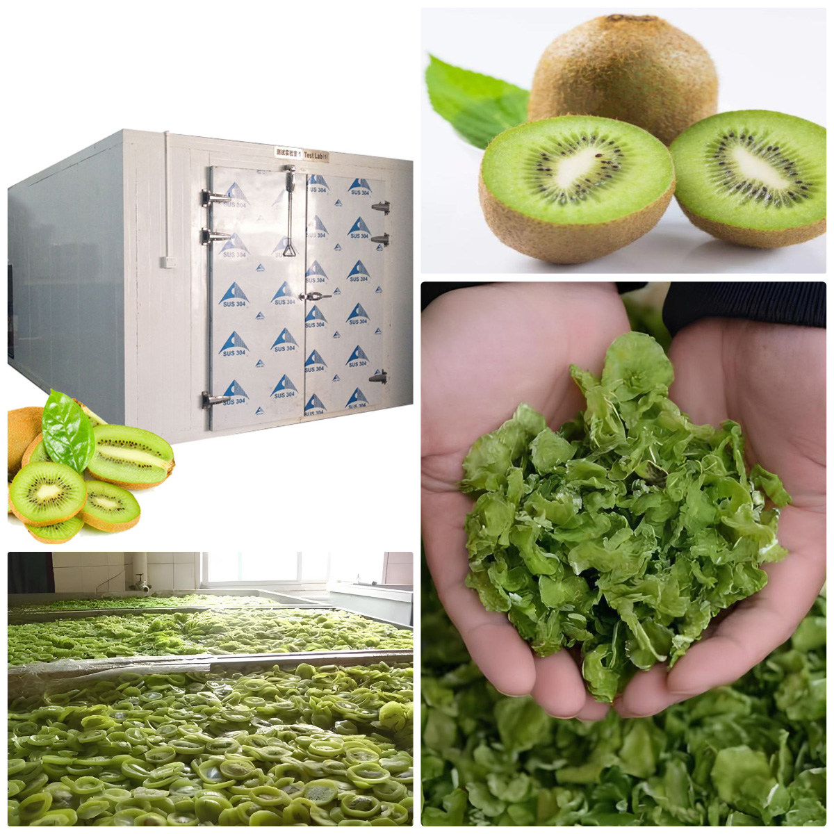 Pengering Pompa Panas MeiYa: Solusi Pengeringan Buah Kiwi Tercanggih