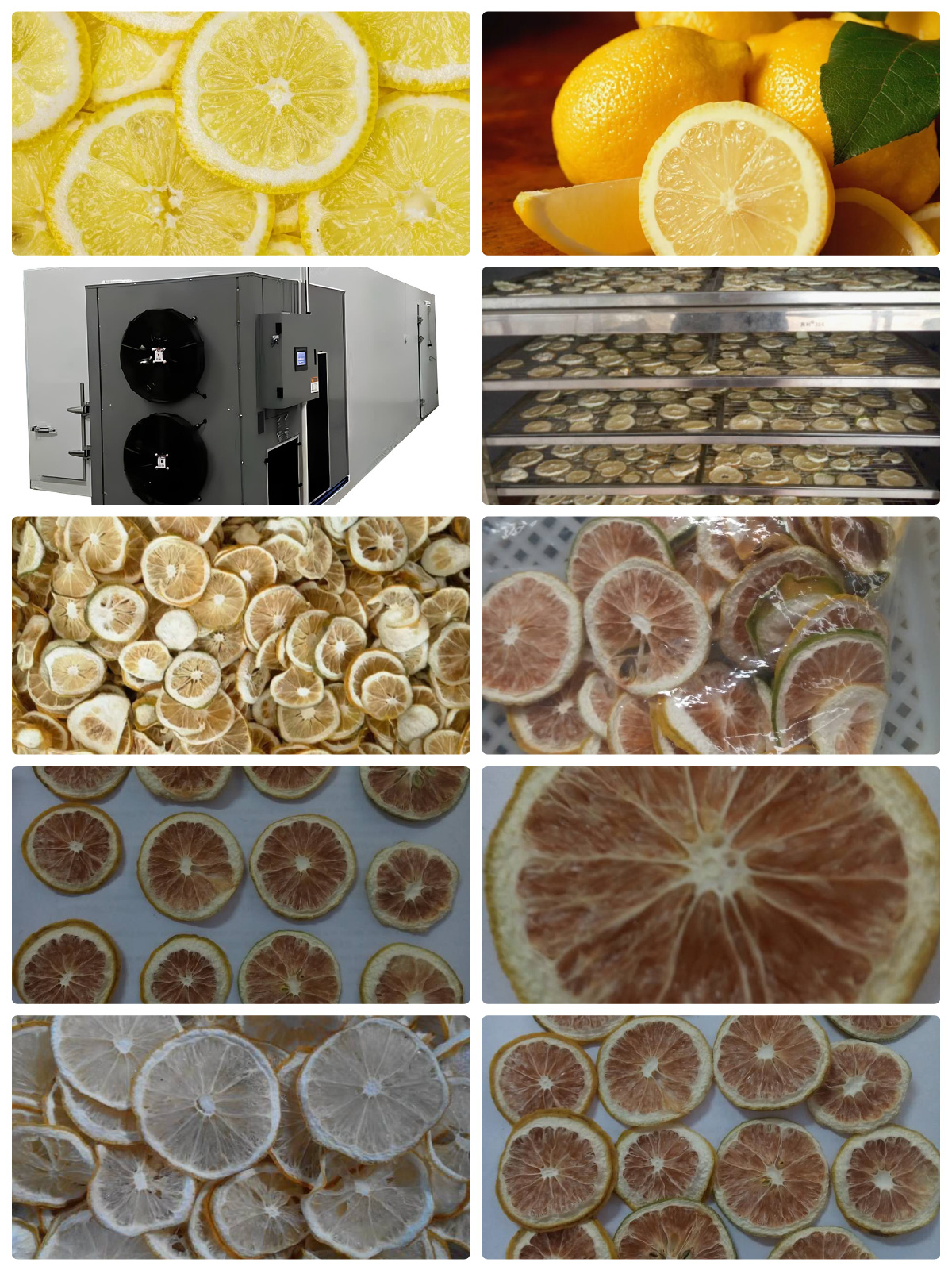 Solusi Pengeringan Lemon yang Dioptimalkan dengan Pengering Pompa Panas Sumber Udara MeiYa