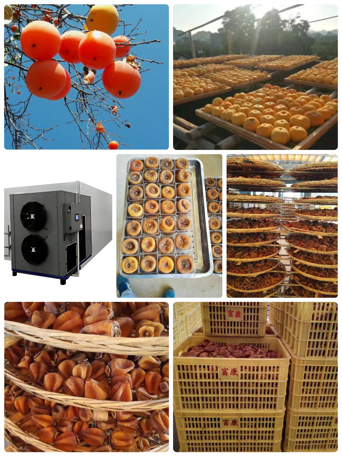 Pengering Pompa Panas Sumber Udara MeiYa: Solusi Canggih untuk Produksi Kesemek Kering