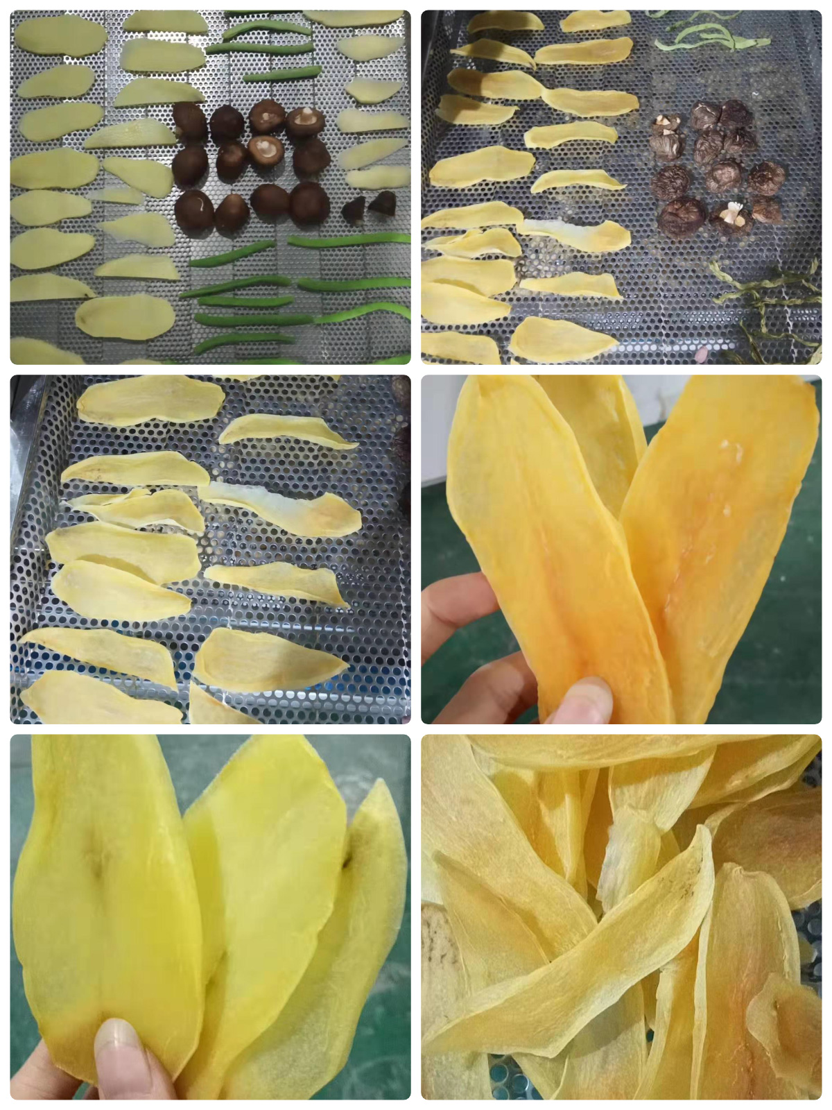 Pengering Pompa Panas MeiYa: Solusi Pengeringan Kentang Canggih untuk Kualitas & Efisiensi Unggul