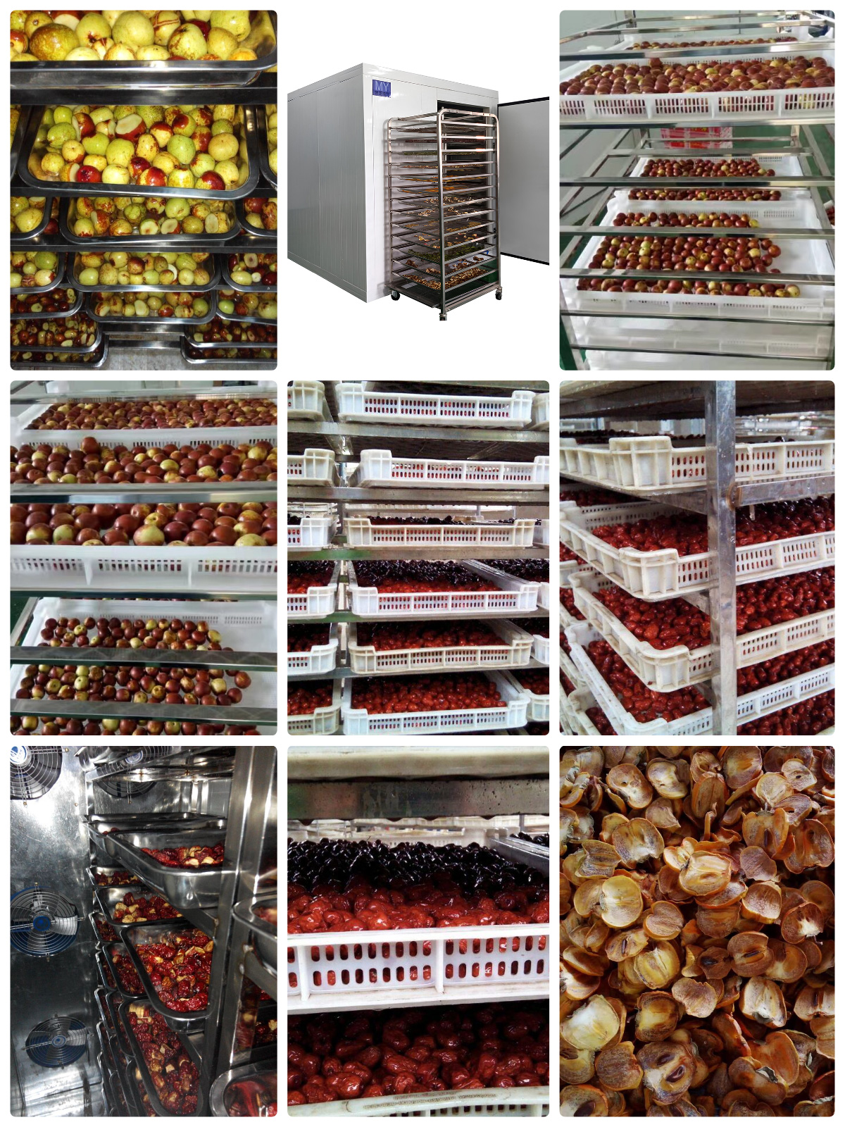 Pengeringan Kurma Merah yang Unggul dengan Pengering Pompa Panas Sumber Udara MeiYa