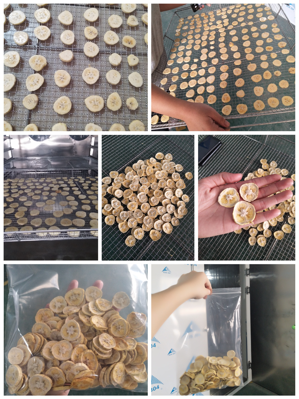 Solusi Pengeringan Pisang yang Optimal dengan Pengering Pompa Panas Sumber Udara MeiYa