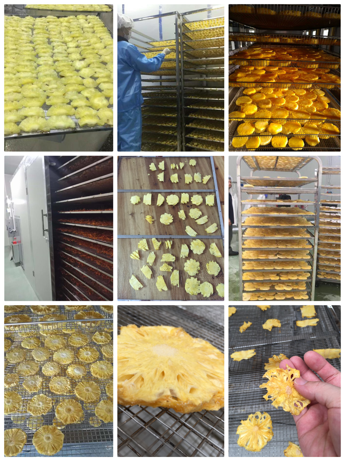 Mengoptimalkan Pengeringan Nanas dengan Pengering Pompa Panas MeiYa: Panduan Langkah demi Langkah