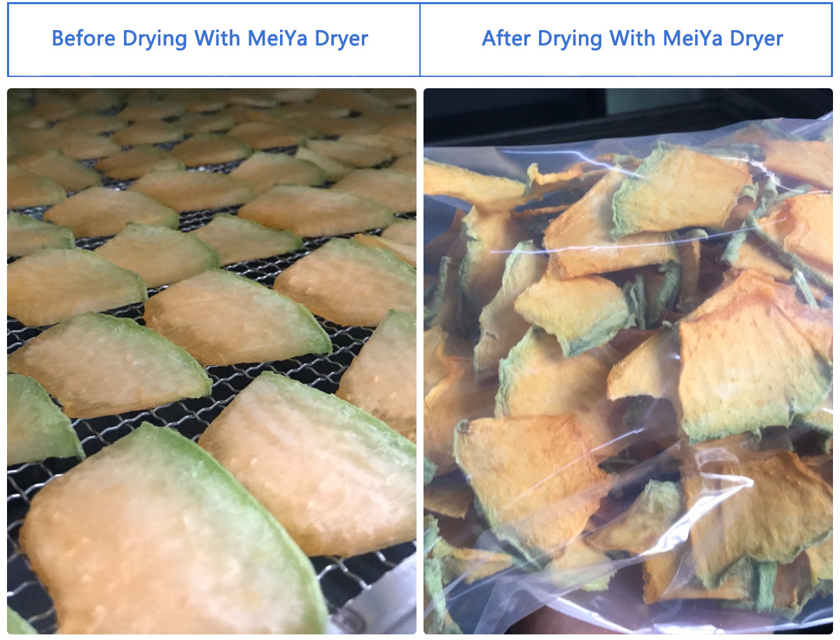 Pengering Pompa Panas MeiYa: Solusi Pengeringan Canggih untuk Melon