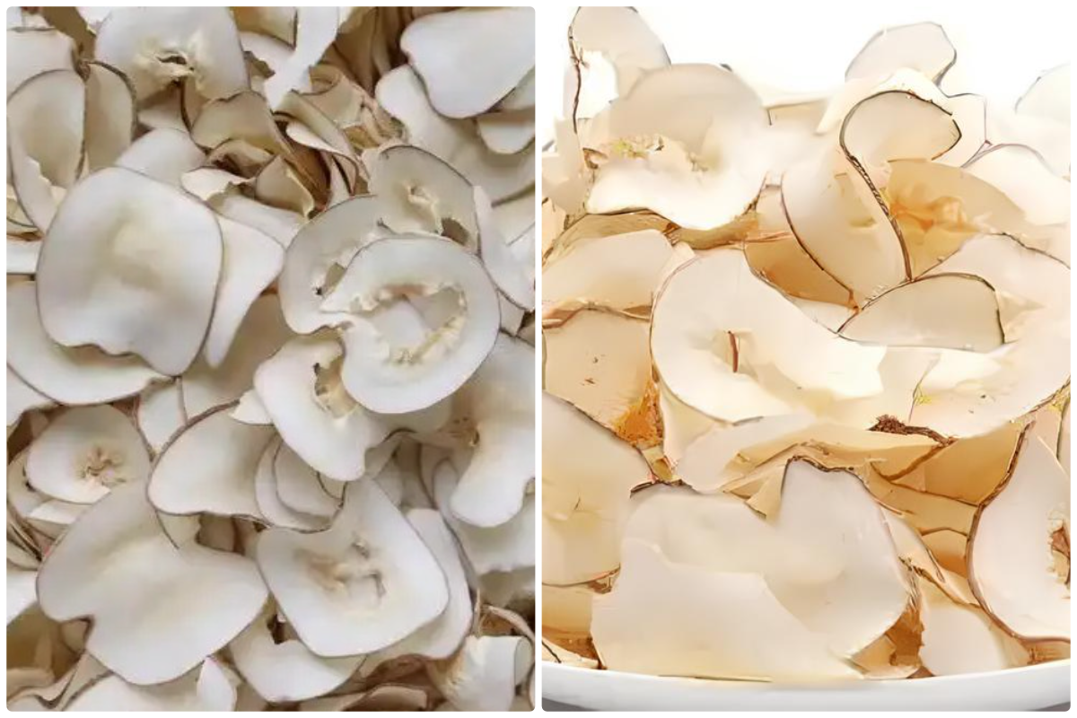 Pengering Pompa Panas MeiYa: Solusi Pengeringan Kelapa yang Optimal