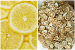Solución optimizada para el secado de limones con la secadora de bomba de calor aerotérmica MeiYa.