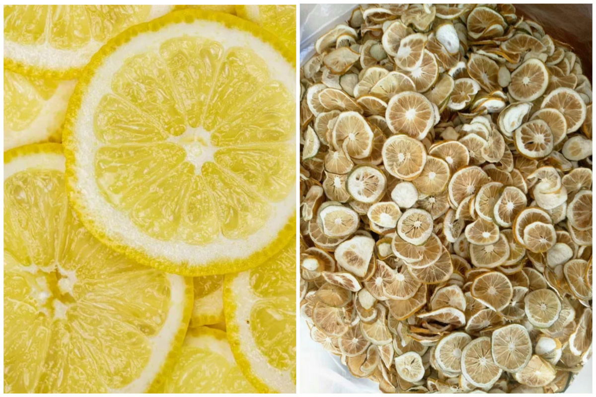 Solusi Pengeringan Lemon yang Dioptimalkan dengan Pengering Pompa Panas Sumber Udara MeiYa