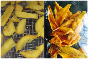 Solución para el secado de mangos con la secadora con bomba de calor MeiYa: preservando el tesoro dorado de la naturaleza