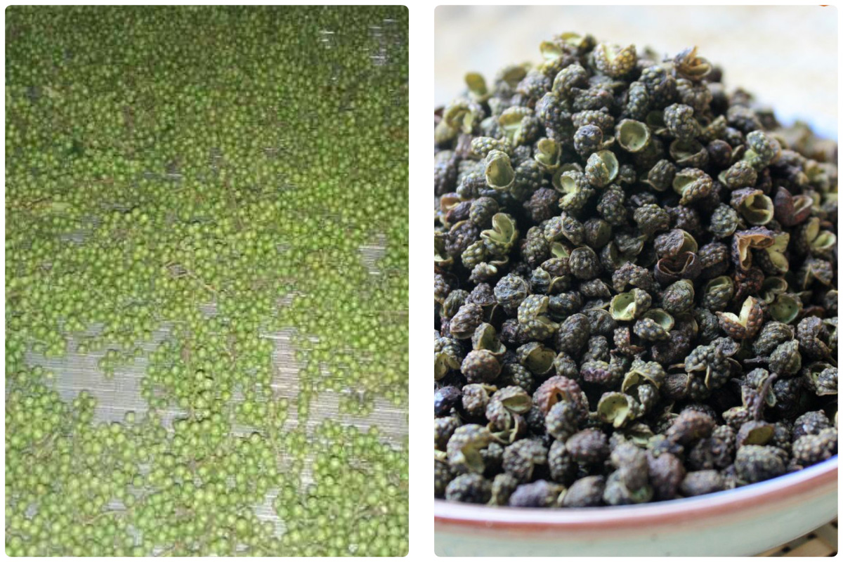 Pengering Pompa Panas Sumber Udara MeiYa: Solusi Pengeringan Presisi untuk Lada Sichuan