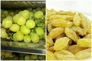 Solución optimizada para el secado de uvas con la secadora de bomba de calor aerotérmica MeiYa.