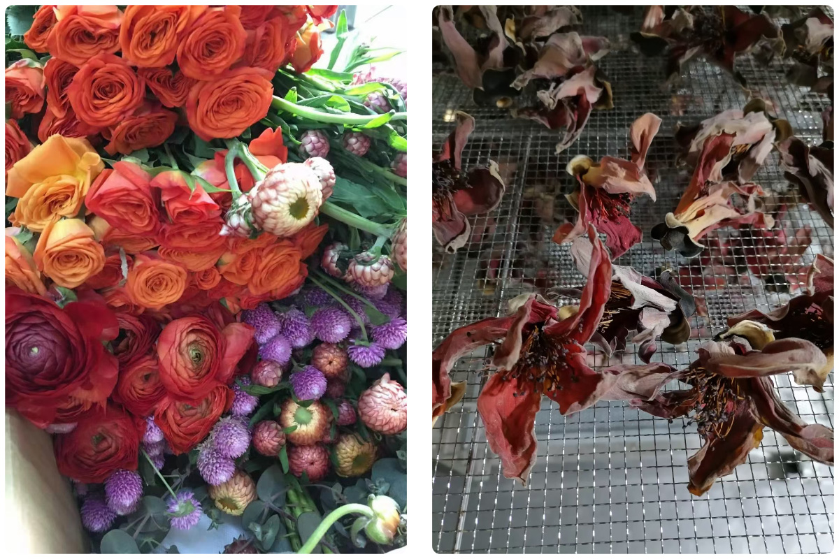 Pengering Pompa Panas MeiYa: Solusi Pengeringan Mawar yang Optimal untuk Kualitas Premium