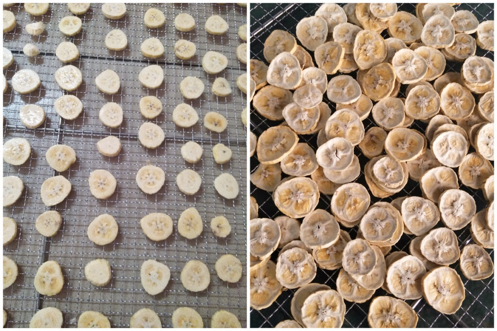 Solusi Pengeringan Pisang yang Optimal dengan Pengering Pompa Panas Sumber Udara MeiYa