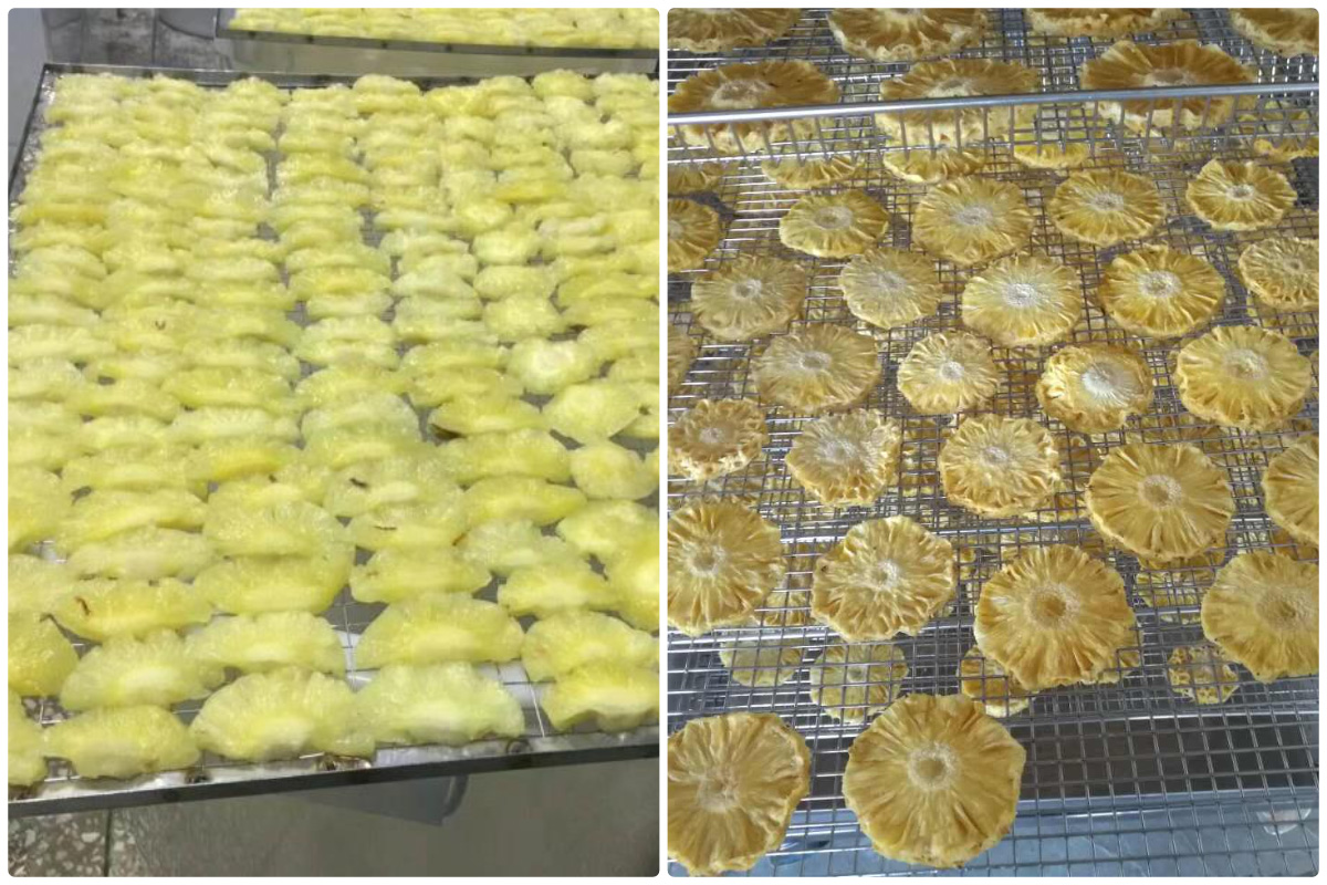 Mengoptimalkan Pengeringan Nanas dengan Pengering Pompa Panas MeiYa: Panduan Langkah demi Langkah