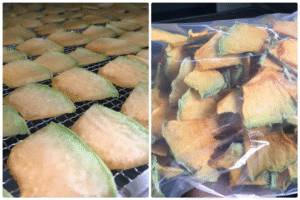 MeiYa Heat Pump Dryer: Advanced Drying Solution for Cantaloupe