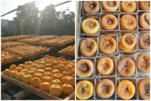 MeiYa Air Source Heat Pump Dryer: Advanced Solution for Dried Persimmon Production