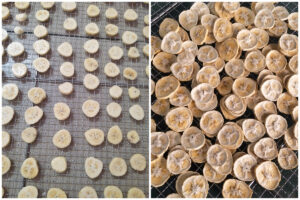 Optimized Banana Drying Solutions with MeiYa Air Source Heat Pump Dryers