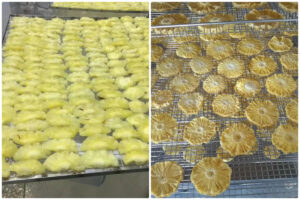 Optimizing Pineapple Drying with MeiYa Heat Pump Dryer: A Step-by-Step Guide