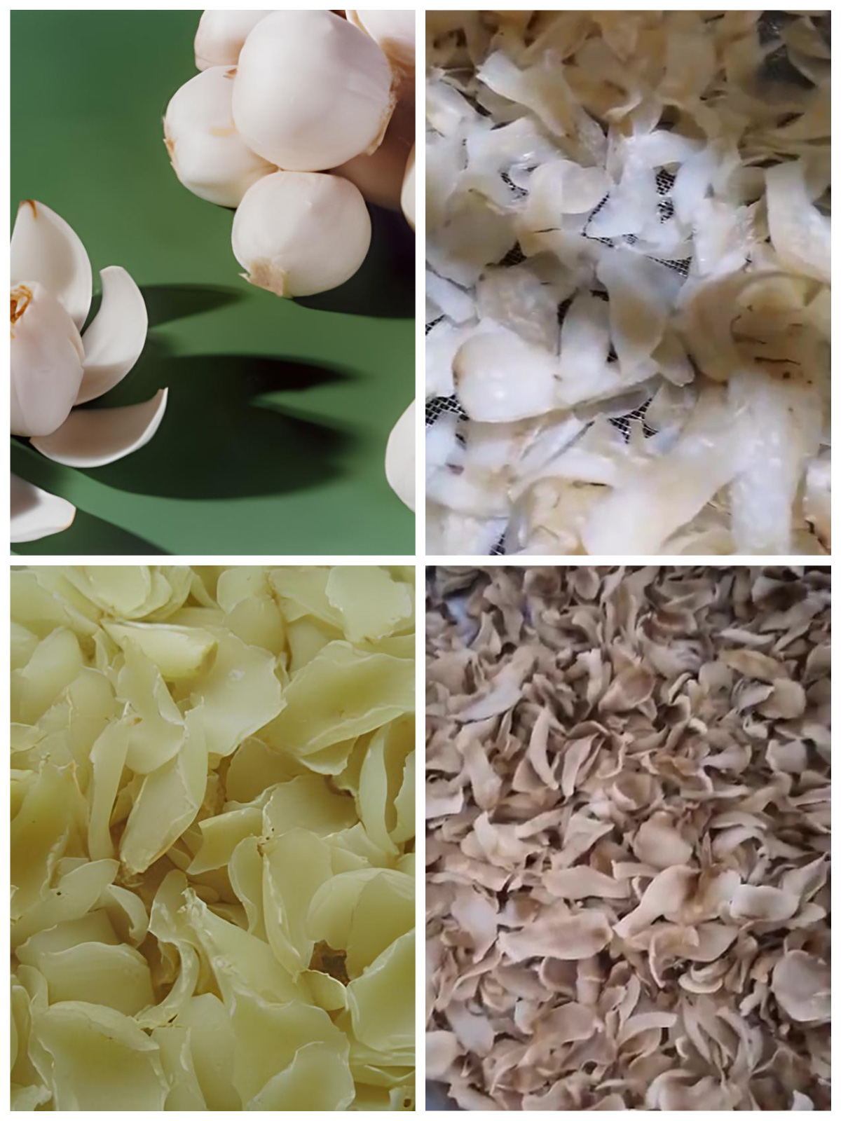 A Comprehensive Guide to Lily Bulb Drying with MeiYa Air Source Heat Pump Dryers