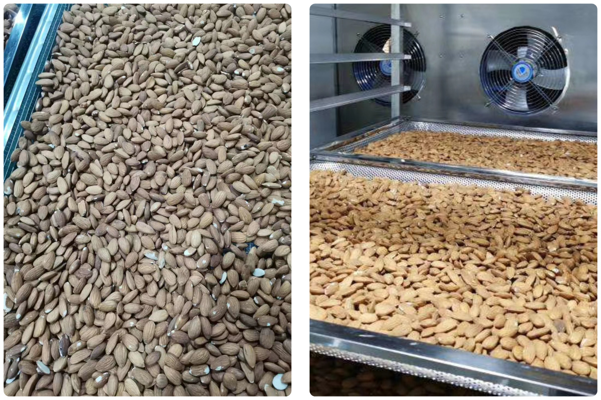 Optimizing Almond Drying with MeiYa Air Source Heat Pump Dryers