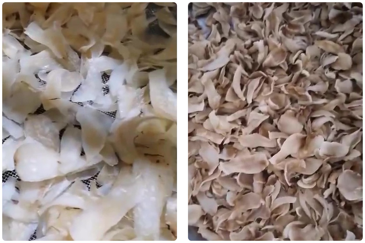 A Comprehensive Guide to Lily Bulb Drying with MeiYa Air Source Heat Pump Dryers