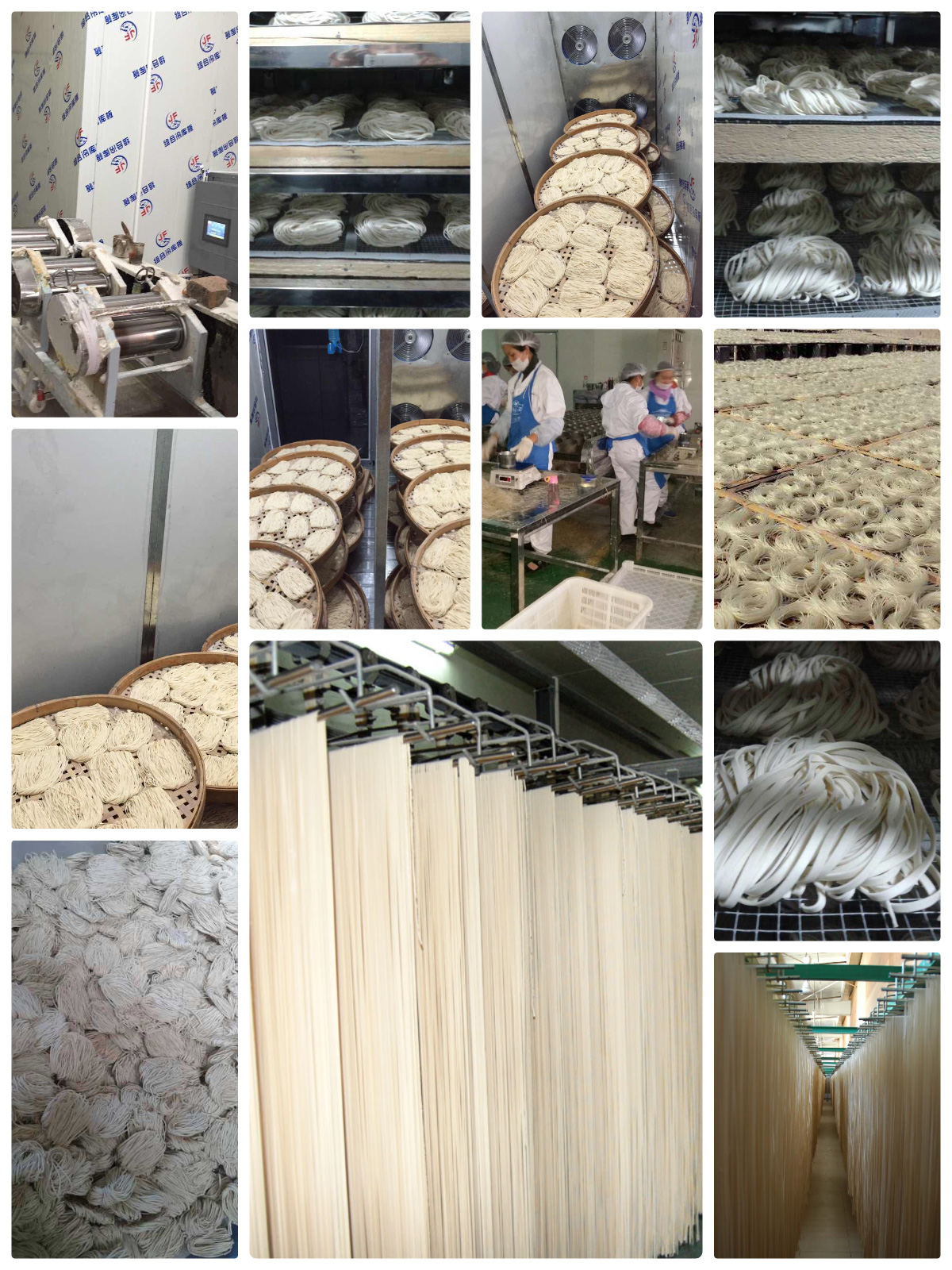 MeiYa Heat Pump Dryer: Optimized Noodle Drying Solution