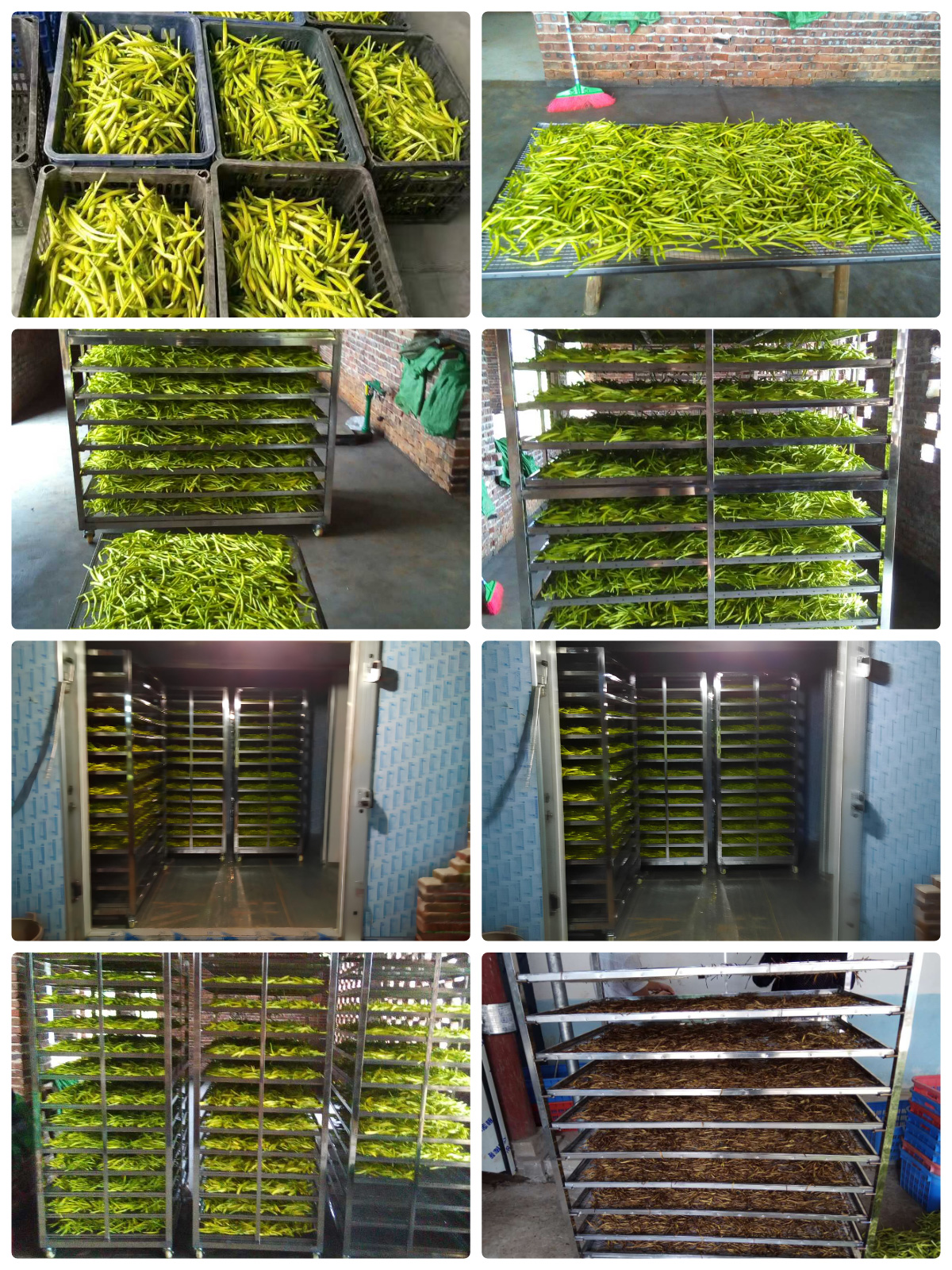 MeiYa Heat Pump Dryer: Advanced Drying Solution for Cauliflower