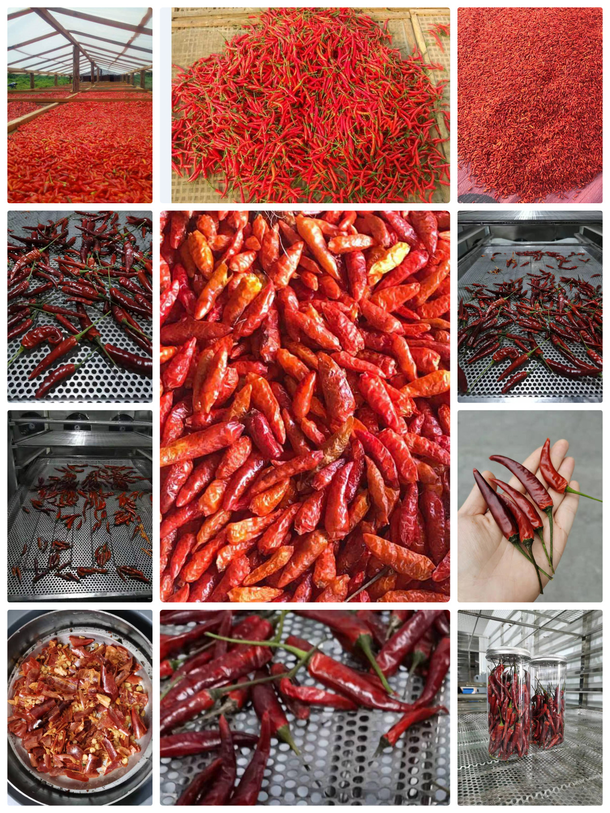 MeiYa Air Source Heat Pump Dryer: Precision Drying Solution for Chilli Processing