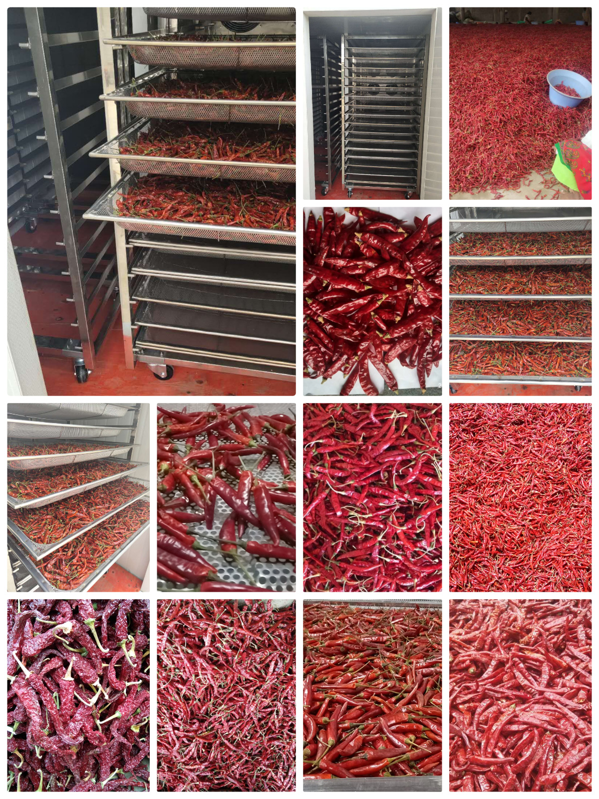 MeiYa Air Source Heat Pump Dryer: Precision Drying Solution for Chilli Processing