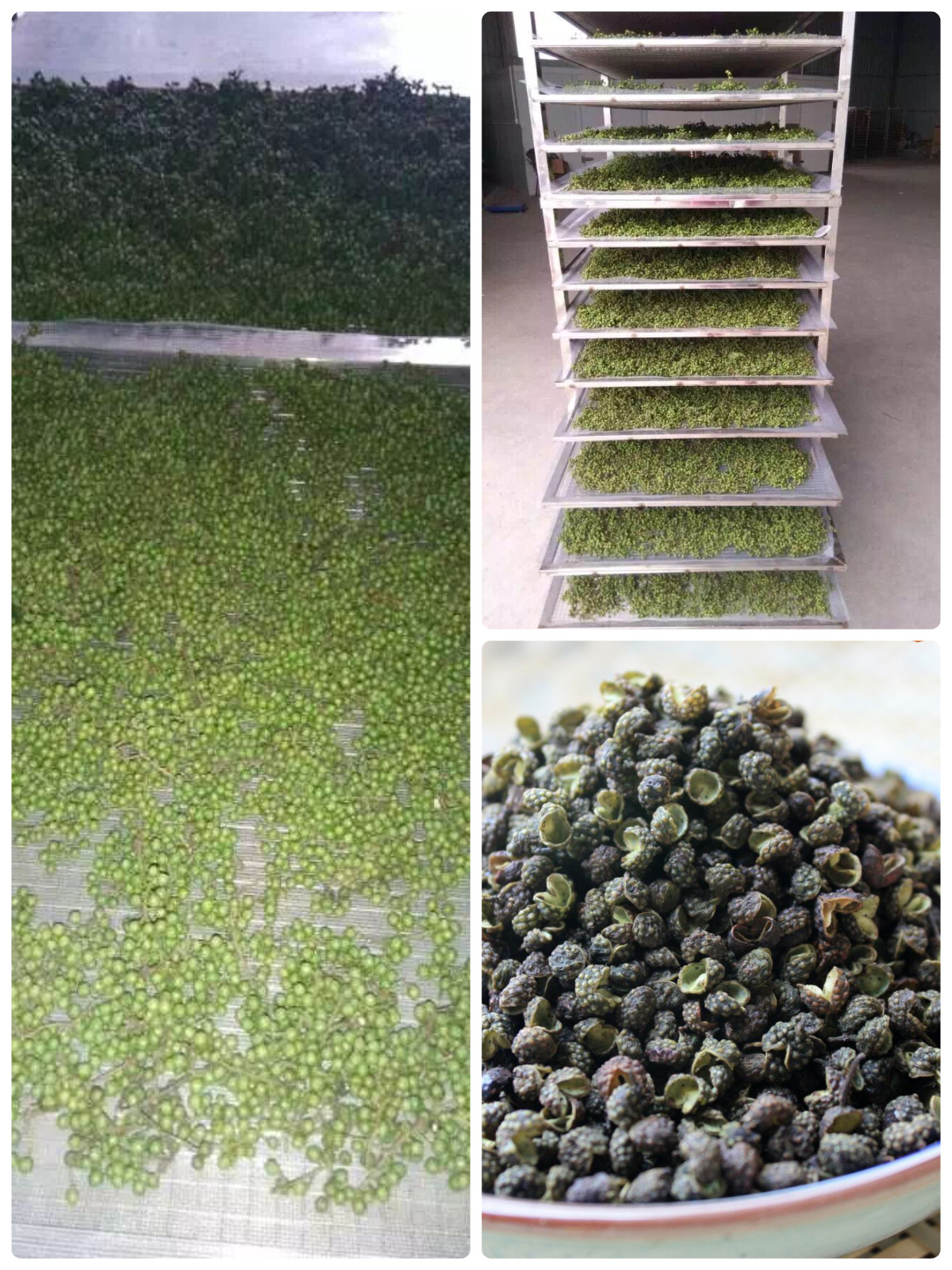 MeiYa Air Source Heat Pump Dryer: Precision Drying Solution for Sichuan Pepper