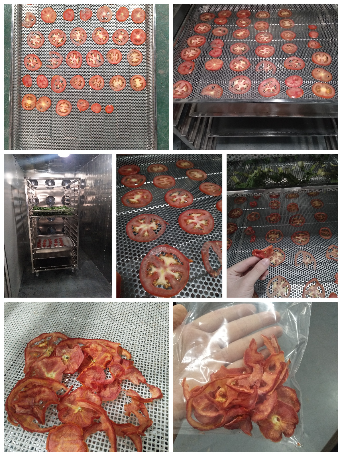 MeiYa Heat Pump Dryer: Advanced Tomato Drying Solutions for Superior Quality & Efficiency​