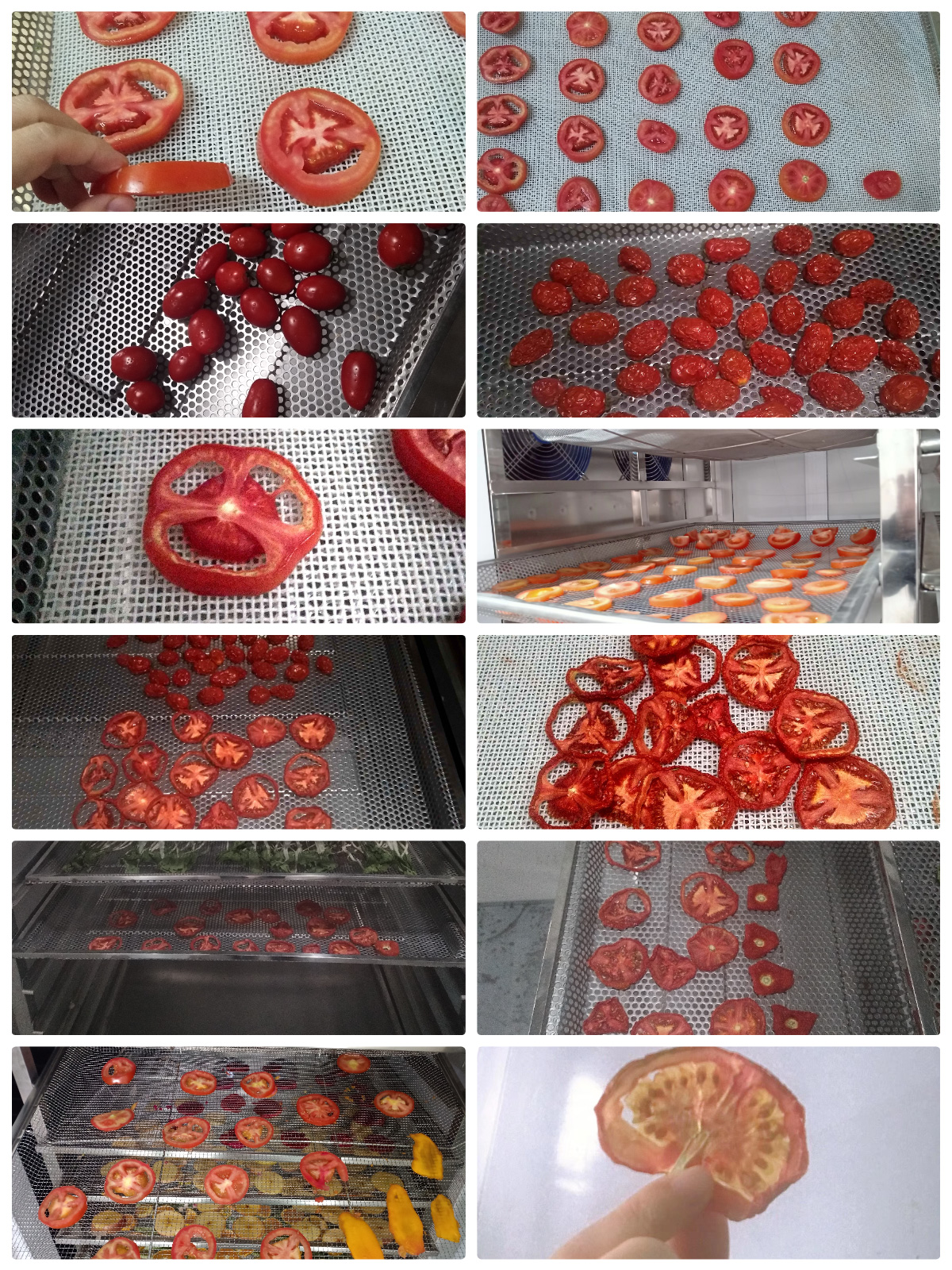 MeiYa Heat Pump Dryer: Advanced Tomato Drying Solutions for Superior Quality & Efficiency​