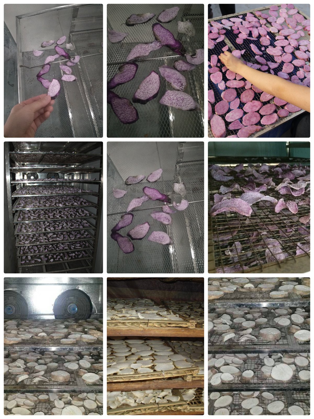 MeiYa Heat Pump Dryer: Advanced Yam Drying Solution