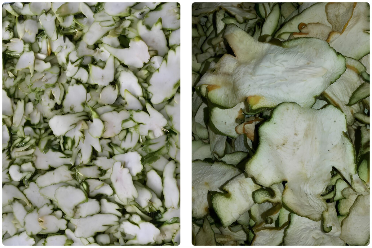 MeiYa Heat Pump Dryer: Optimized Drying Solution for Buddha's Hand