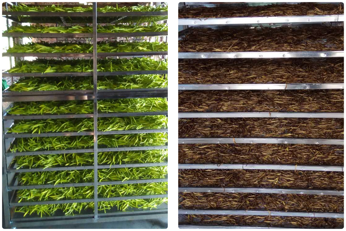 MeiYa Heat Pump Dryer: Advanced Drying Solution for Cauliflower