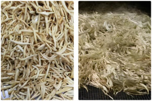 Optimized Drying Process for Flammulina velutipes (Enoki mushrooms) Using MeiYa Air Source Heat Pump Dryers