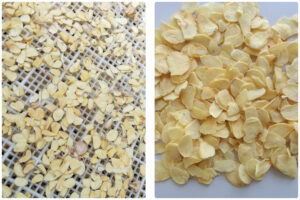 MeiYa Heat Pump Dryer: Advanced Garlic Drying Solution​