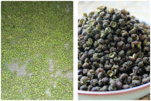 MeiYa Air Source Heat Pump Dryer: Precision Drying Solution for Sichuan Pepper​