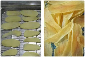 MeiYa Heat Pump Dryer: Advanced Potato Drying Solution for Superior Quality & Efficiency​