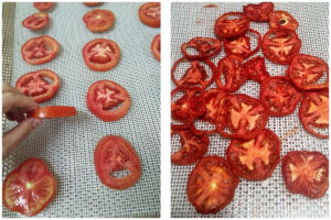 MeiYa Heat Pump Dryer: Advanced Tomato Drying Solutions for Superior Quality & Efficiency​