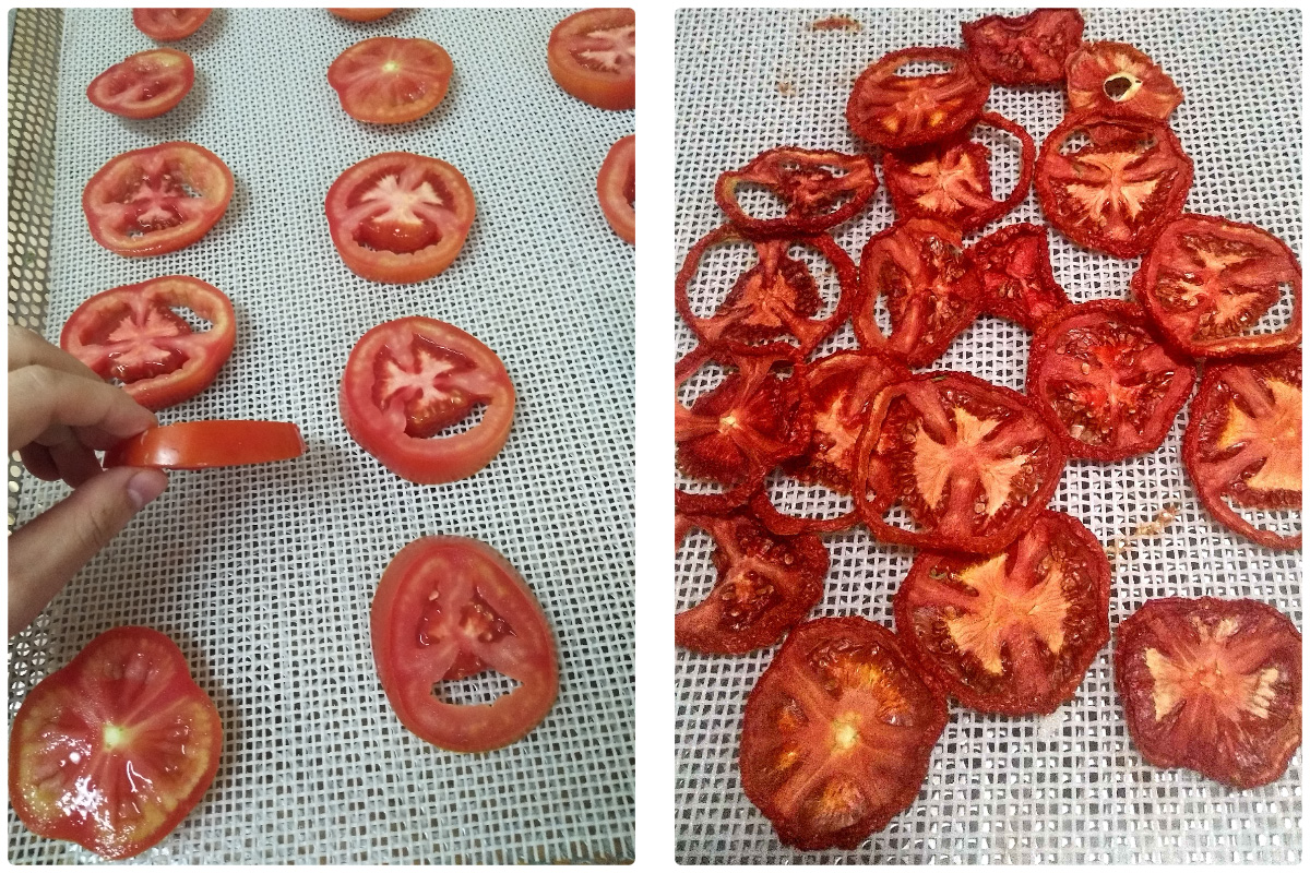 MeiYa Heat Pump Dryer: Advanced Tomato Drying Solutions for Superior Quality & Efficiency​